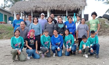 Éxito en el Cierre de Temporada de Anidación 2023: Más de 9 mil Tortugas Liberadas en Tuxpan, Veracruz