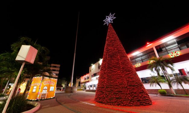 Del 23 al 25 de diciembre el hermoso Pino de Navidad de Tuxpan proyectará imágenes infantiles con motivos navideños