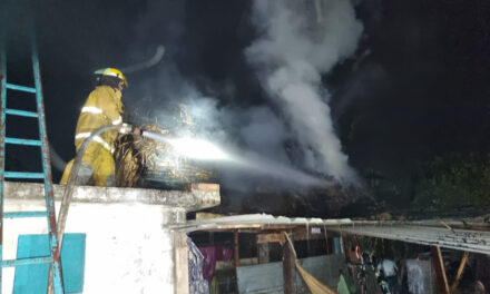 Héroes de Bomberos y Protección Civil Sofocan Incendio en Macultepec