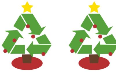 Inicia campaña de reciclaje de pinos de Navidad; se instalaron 5 centros de acopio en Tuxpan