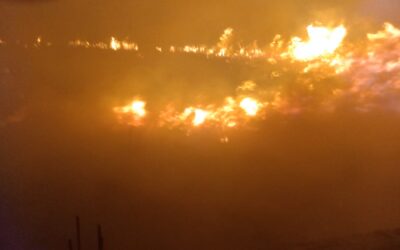 Incendio en Pastizal Genera Pánico entre Vecinos de la Emiliano Zapata