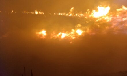 Incendio en Pastizal Genera Pánico entre Vecinos de la Emiliano Zapata