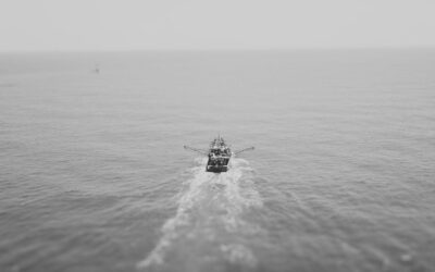 Tragedia en Alta Mar: Un Lamentable Adiós al Biólogo del Marlin