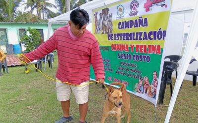 Todo un éxito la 2da campaña de Esterilización en Playa Barra Norte