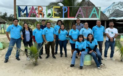 Todo listo para iniciar la temporada de arribo de tortugas 2024 en playas mexicanas