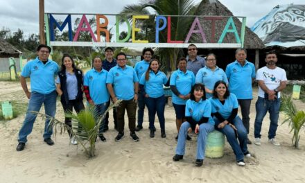Todo listo para iniciar la temporada de arribo de tortugas 2024 en playas mexicanas
