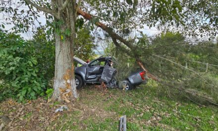 Estrellan camioneta en un árbol: Tres personas quedaron lesionadas