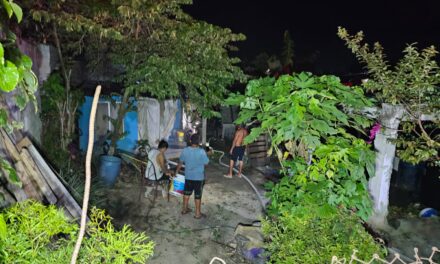 Incendio en Tuxpan deja a una familia sin hogar: Buscan ayuda tras pérdida material