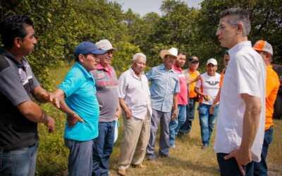 El campo veracruzano está en el abandono, lo vamos a rescatar: Dante Delgado