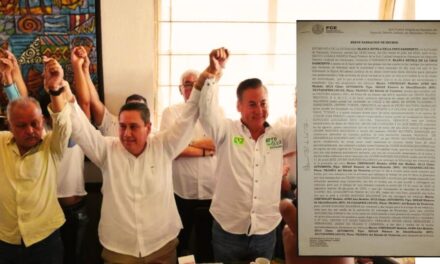 Escándalo en Tuxpan: Nuevas acusaciones contra el presidente del Partido Verde