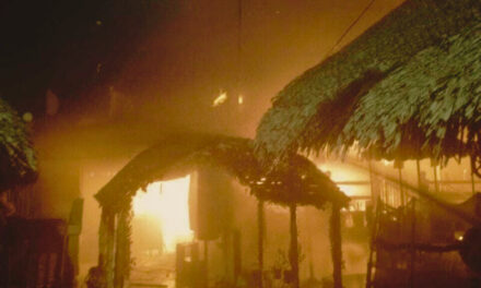 Se incendia el Paso Negretti en Tuxpan: Palapa y lanchas devoradas por las llamas