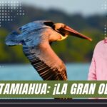 Tamiahua: ¡LA GRAN OLVIDADA!