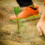 Arranca Dante Delgado en Perote programa de reforestación
