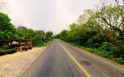 Lo atropellan en Boca del Monte y muere