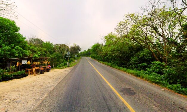 Lo atropellan en Boca del Monte y muere