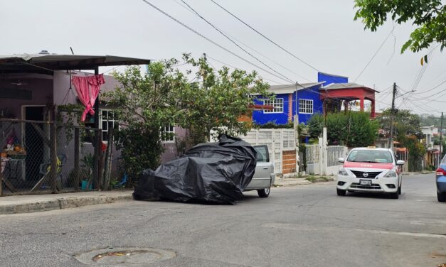 Derriba Poste en la calle Lirios y Huye: Tránsito Municipal Encuentra el Vehículo Oculto