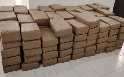 EN CATEO FGR ASEGURA 700 KILOS DE MARIHUANA EN TUXPAN, VERACRUZ