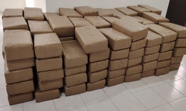 EN CATEO FGR ASEGURA 700 KILOS DE MARIHUANA EN TUXPAN, VERACRUZ