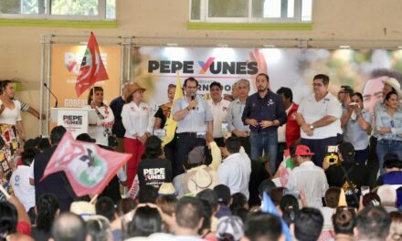 Votemos en las 5 boletas por PRI, PAN y PRD: Pepe Yunes