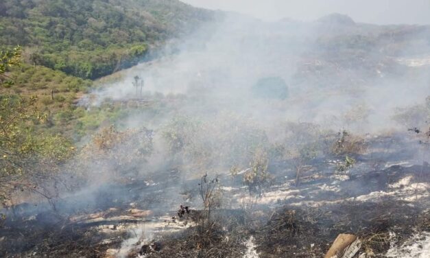 Tamiahua: ¡Voraz incendio consume Palma Sola!
