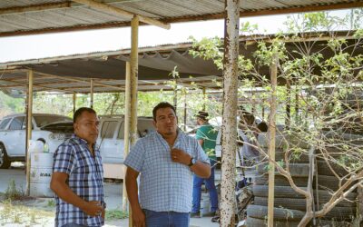 Regidor Amado Gutiérrez Lima: Compromiso y Acción por un Tuxpan Más Seguro y Eficiente