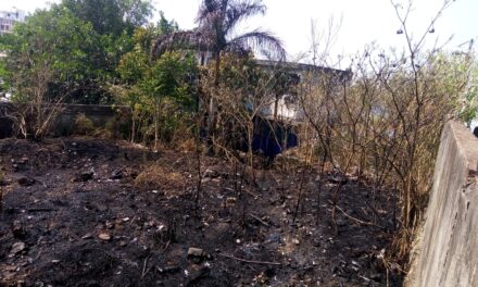Incendio en Casa Abandonada Moviliza a Cuerpos de Emergencia