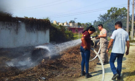 Bomberos y Protección Civil de Tuxpan: Héroes Valerosos Controlaron Incendios de Pastizales Ayer