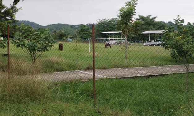 El Abandono de la Unidad Deportiva de Naranjos Amatlán: Un Reflejo de la Falta de Compromiso de Pepe Banda