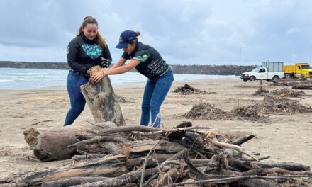 Regidora 4 presente en la Gran Labor de Limpieza en Playa Barra Norte de Tuxpan