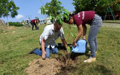 Se ponen en marcha acciones de reforestación en Tuxpan. En esta ocasión se plantaron árboles en áreas verdes de Petrópolis