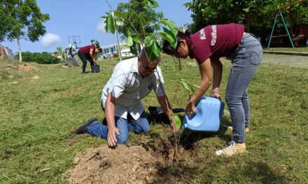 Se ponen en marcha acciones de reforestación en Tuxpan. En esta ocasión se plantaron árboles en áreas verdes de Petrópolis