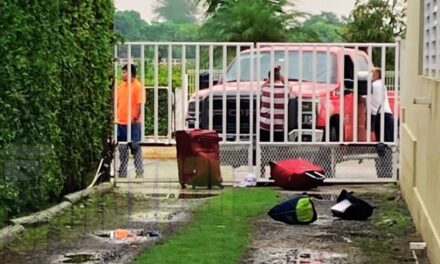 Vecinos Frustran Robo en el Fraccionamiento Jardines de Tuxpan: Acusado No Es Remitido a Autoridades