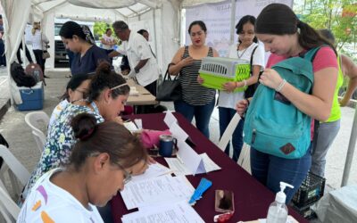 Llega a Petrópolis Campaña Gratuita de Esterilización Canina y Felina
