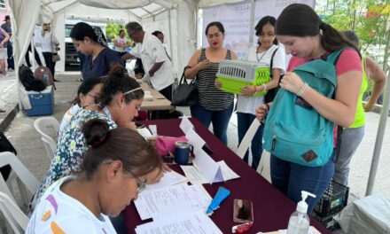 Llega a Petrópolis Campaña Gratuita de Esterilización Canina y Felina