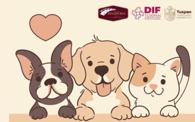 Mañana se realizará la Segunda Jornada de Adopción de Perros, “Un Hogar para Todos”, en la Plaza Cívica de Tuxpan, de 10:00 a 13:00 horas