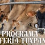 Programa de la Expo-Feria Tuxpan 2024