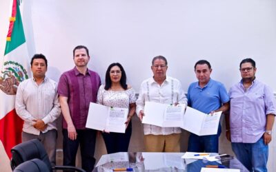 Tuxpan instalará 6,500 luminarias LED en el alumbrado público