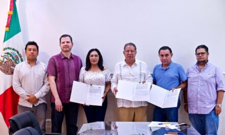 Tuxpan instalará 6,500 luminarias LED en el alumbrado público