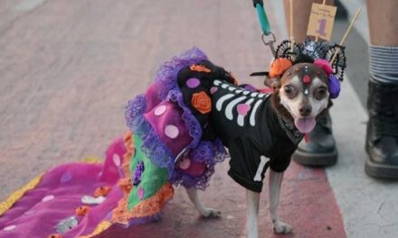 Inscripciones abiertas para el 2° Concurso “Disfraza a tu mascota”, que se realizará el 27 de octubre, con motivo del Día de Muertos