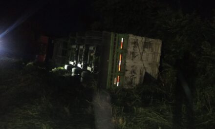 Vuelca tráiler cargado de maíz en el Libramiento Portuario de Tuxpan