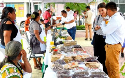 Destacados cafeticultores promueven en Tuxpan café veracruzano de la más alta calidad