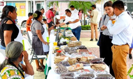 Destacados cafeticultores promueven en Tuxpan café veracruzano de la más alta calidad