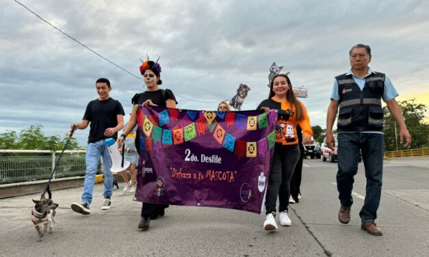 «Disfraza a tu Mascota» 2024: Éxito total en su segunda edición organizada por la Regiduría Cuarta