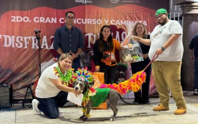 Las mascotas fueron protagonistas de un domingo lleno de color y de un gran ambiente, en Tuxpan