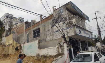 Camión de carga provoca daños al cableado eléctrico en la Garizurieta