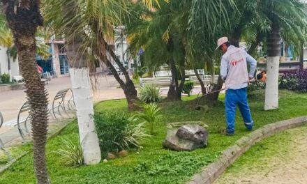 Intensivo programa de limpieza, rehabilitación y mantenimiento de parques, áreas verdes y espacios públicos de Tuxpan