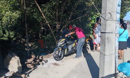 Estrena motocicleta, la atropellan y el responsable huye: Choca contra mostradores en OXXO