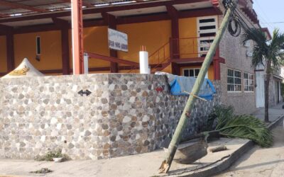 Conductor fantasma derriba poste y palmera en Loma Linda y huye de la escena