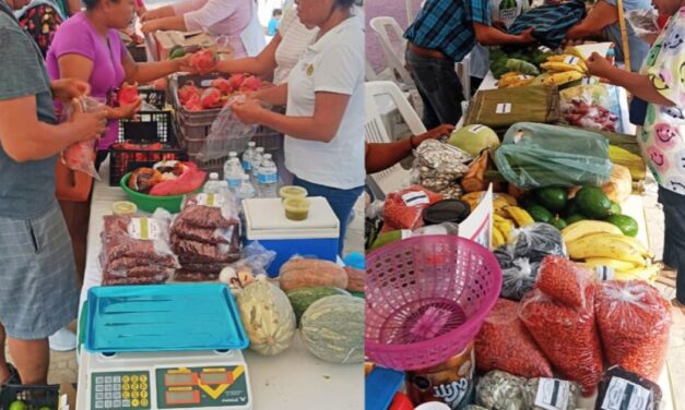 Apoyemos a los productores locales en su “Mercadito Solidario”, que se realizará mañana domingo en la Plaza Cívica