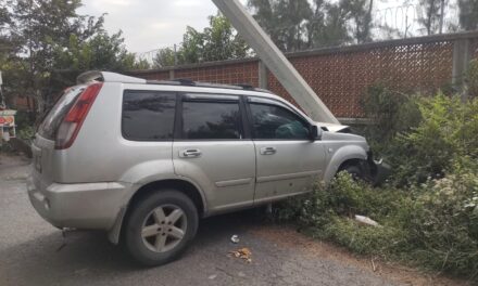 Se le atravesó un poste en la carretera a Chile Frío